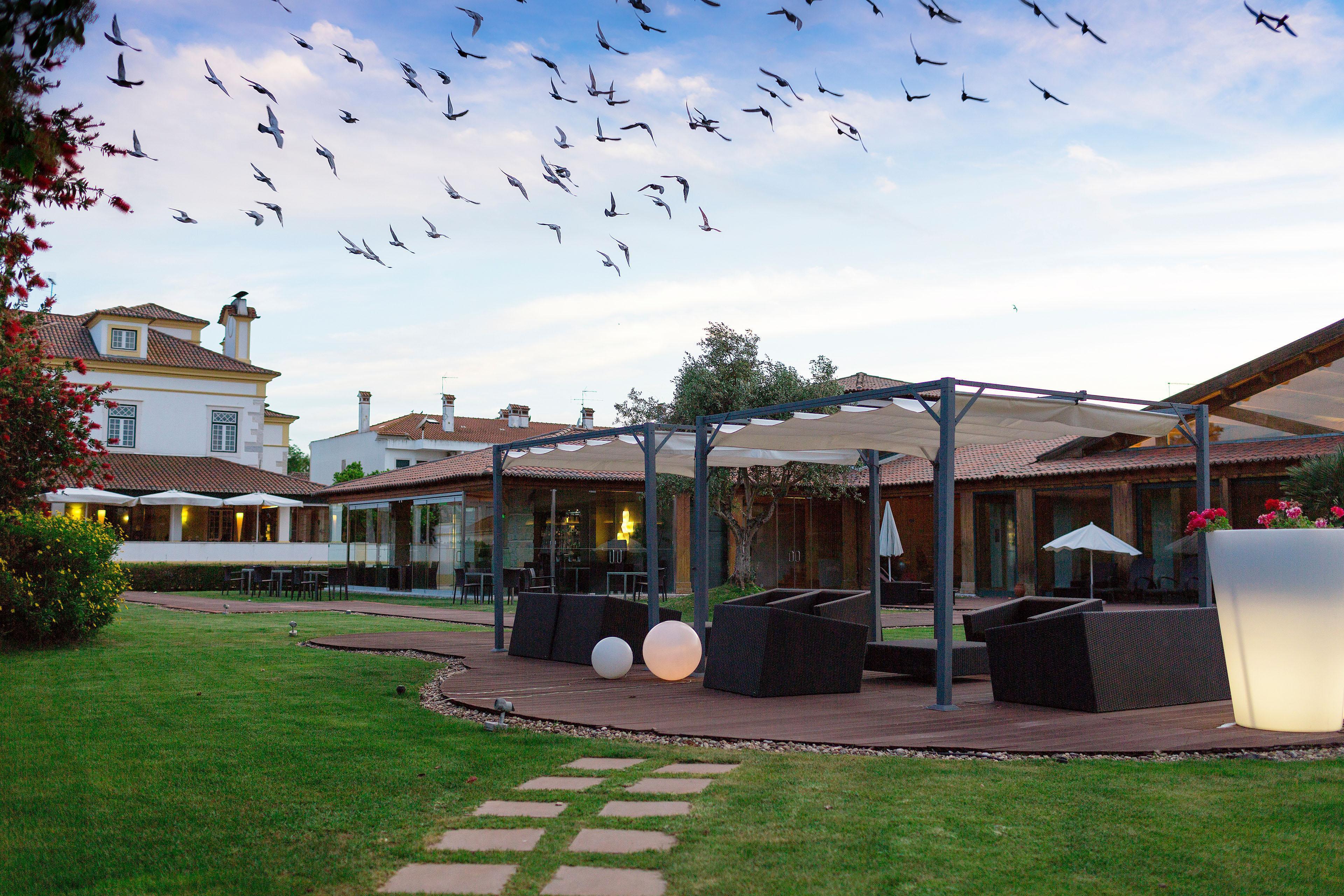 Golegã Hotel Lusitano מראה חיצוני תמונה